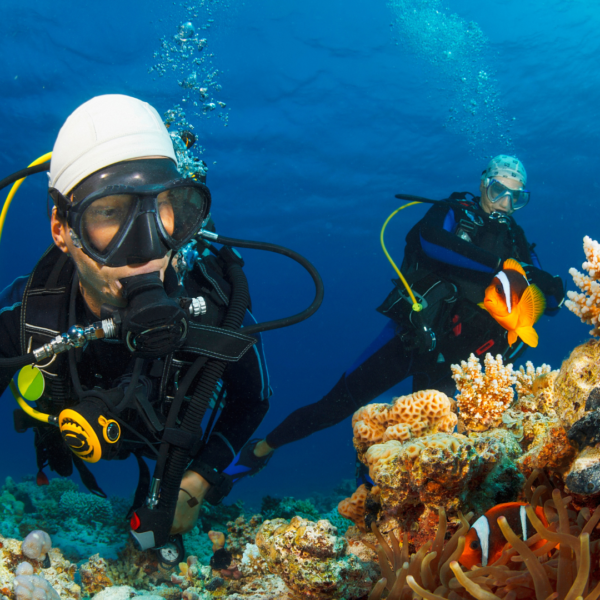 Plongée Sous Marine : PMT