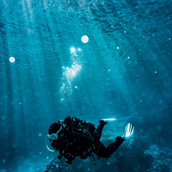 Plongée Sous Marine : Baptêmes de Plongée Adulte